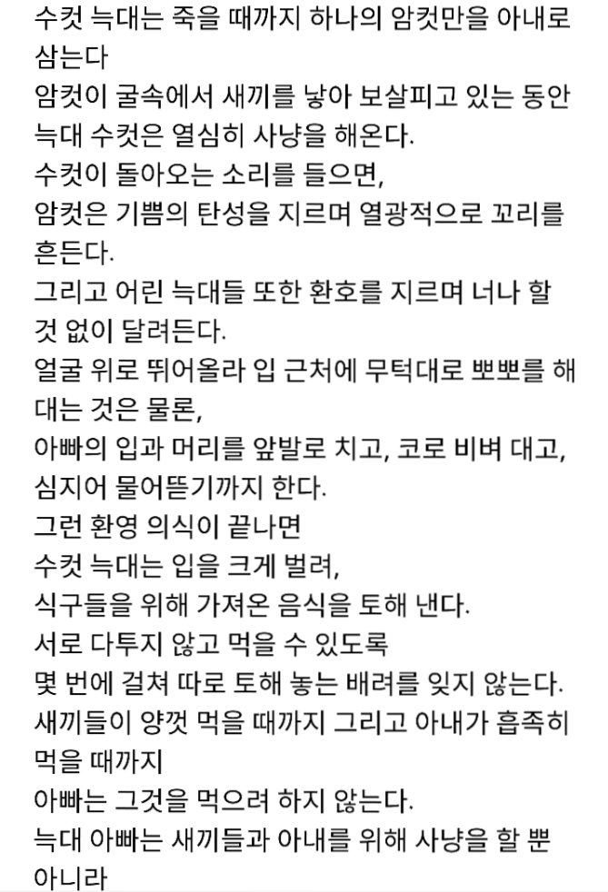 남자는 다 늑대야가 늑대한테 모욕인 이유 | 인스티즈