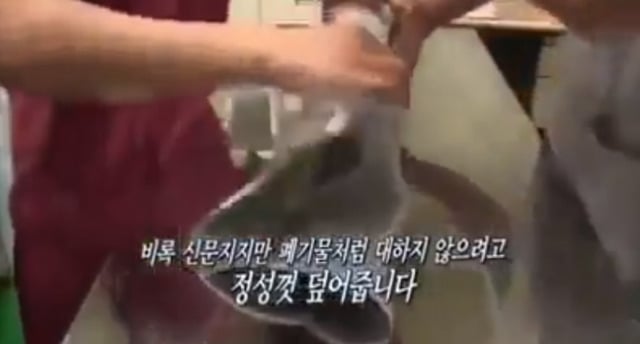 강아지 안락사 시키는 수의사의 고충 | 인스티즈