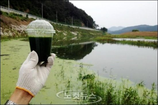 이명박 예산 낭비 클라스.jpg (feat.사대강) | 인스티즈