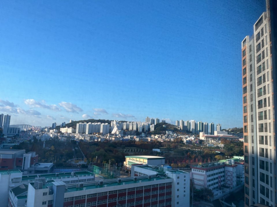 윗지방이 폭설로 난리난 와중에 부산 근황.jpg | 인스티즈