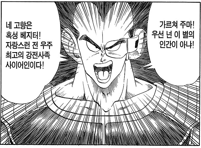 드래곤볼은 말하지 않아서 재밌다 | 인스티즈