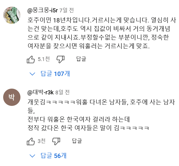호주 워홀.....유튜브 댓글 대참사 | 인스티즈