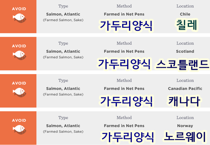 알고는 절대 못 먹는 노르웨이 연어의 무서운 비밀 (바다 이, 생선 우글거리는 사진 주의) | 인스티즈