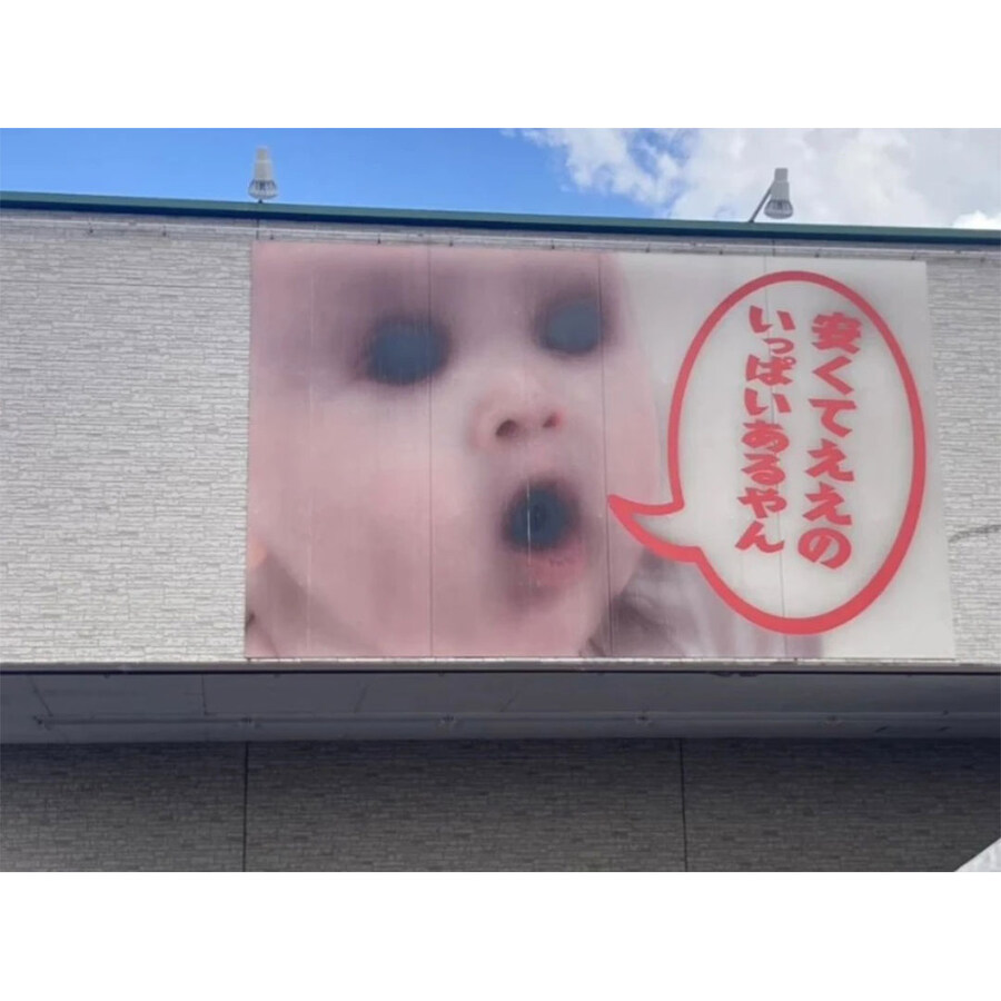 강력한 뙤약볕이 만든 심령사진.jpg | 인스티즈