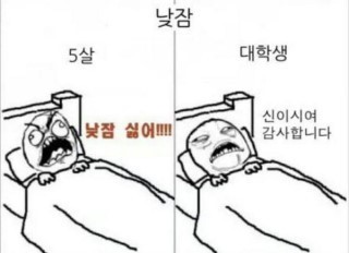 아이의 낮잠과 대학생의 낮잠의 차이 | 인스티즈
