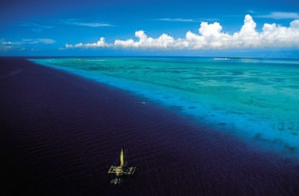 심해공포 관련사진 | 인스티즈