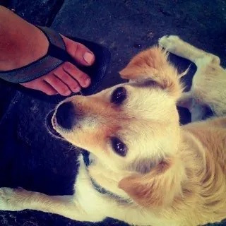 역사적인 인스타그램 최초의 게시물.jpg | 인스티즈