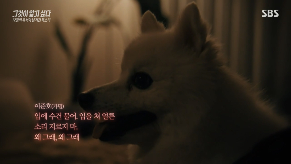 어제 그알 역대급으로 충격적이라 방송 못보는 사람 많았던 사건 (모두 꼭 봐줘..) | 인스티즈