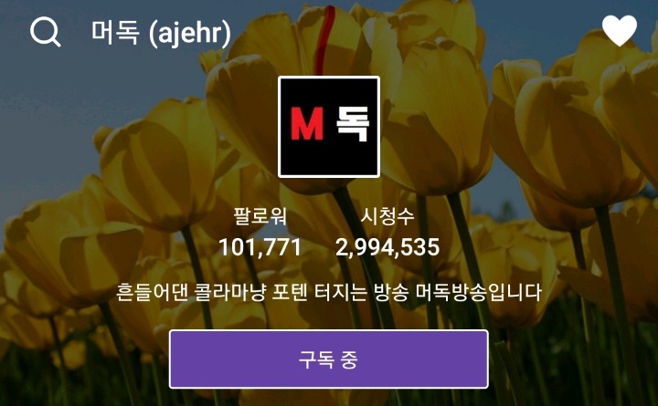 스트리머 머독 어이 정리 | 인스티즈