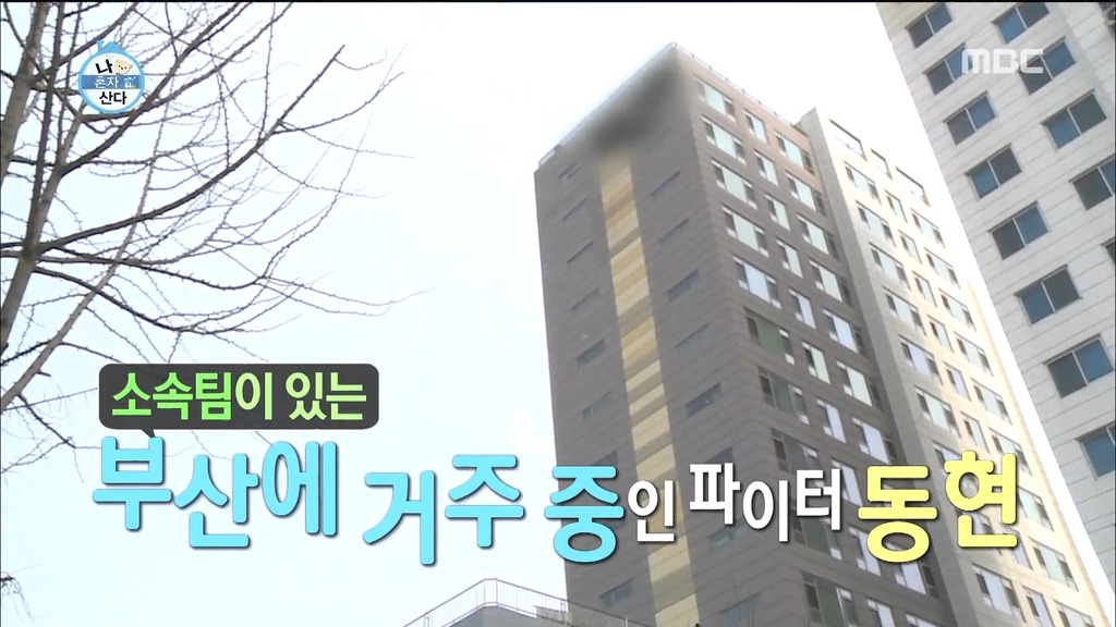 나혼자 산다 김동현 | 인스티즈