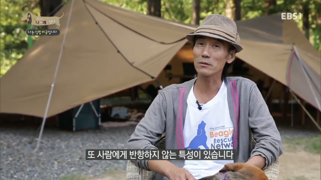 실험 비글을 아십니까? 동물실험에서 가장 많이 사용되는 견종.jpg (맴찢주의) | 인스티즈