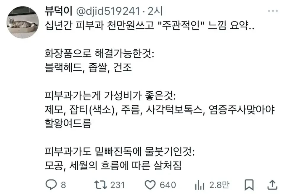 피부과 천만 원 쓰고 주관적인 느낌 요약 | 인스티즈