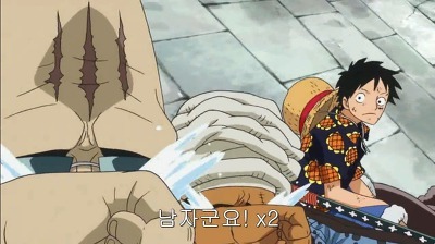 [원피스] 루피가 가장 신뢰하는 동료.jpg | 인스티즈