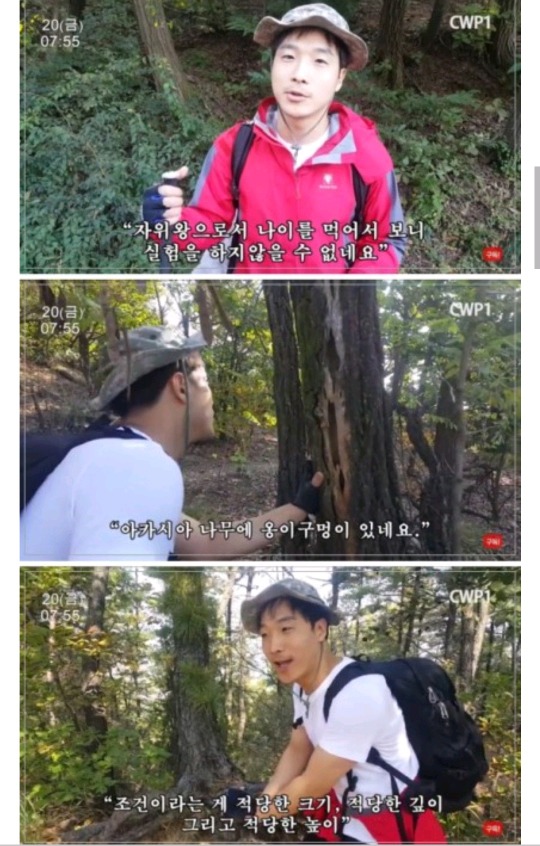 옹이구멍 두부딸 후기 | 인스티즈