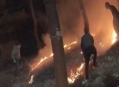 "방화범 신난 듯 서있어”…새벽 배달기사·시민이 큰불 막아 | 인스티즈