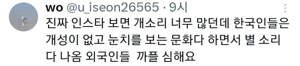 한국인을 향한 혐오가 심각한 외국인들 (무채색편) | 인스티즈