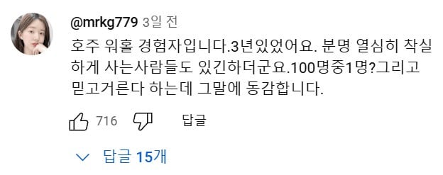 호주 워홀.....유튜브 댓글 대참사 | 인스티즈