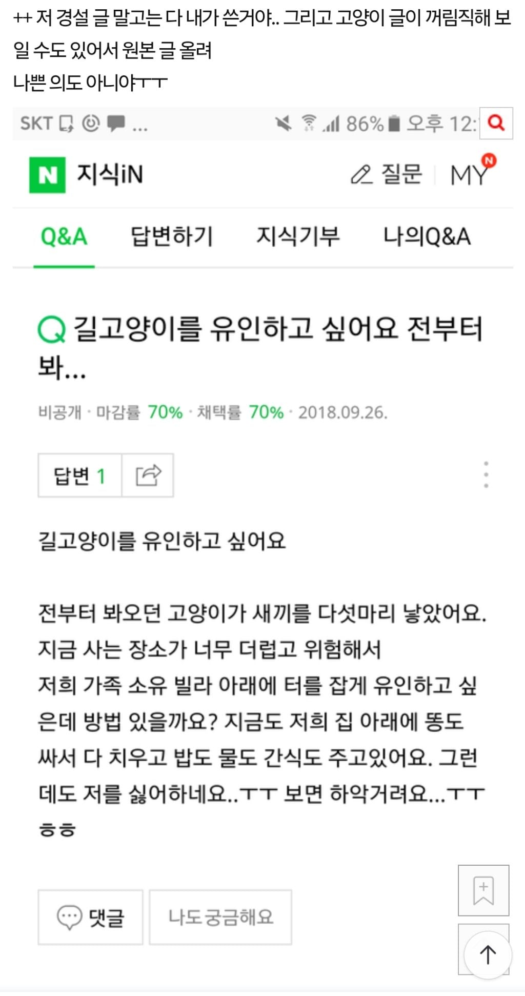 소름주의) 너무무서워 지식인에 내가 올린적 없는 질문이 올라가있어ㅜㅠㅠㅠㅠ | 인스티즈