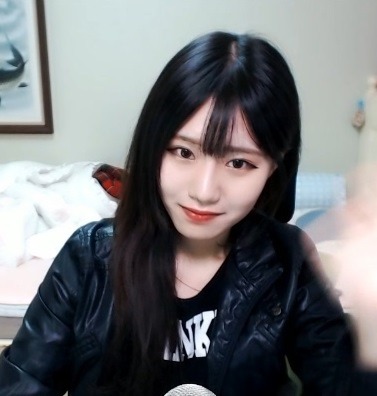 트위치 대표 미녀 스트리머들 | 인스티즈