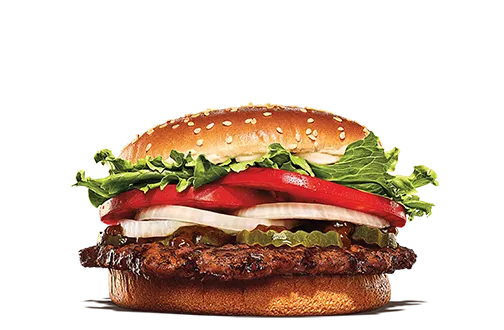 어제 처음으로 강아지에게 햄버거를 사줬다 | 인스티즈