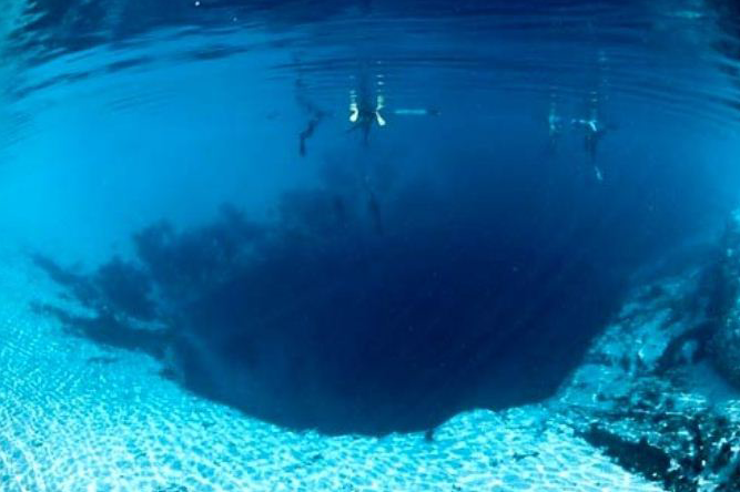 심해공포 관련사진 | 인스티즈