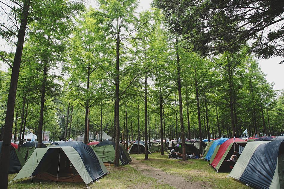 여름락페와는 또 다른 분위기가 있는 우리나라 봄 음악 페스티벌 | 인스티즈