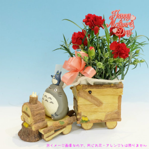 토토로 덕후들 다 모여 | 인스티즈