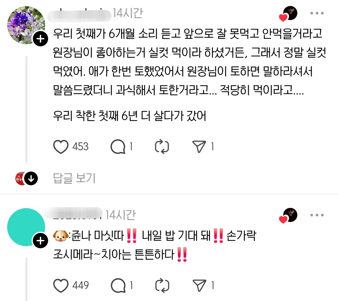 어제 처음으로 강아지에게 햄버거를 사줬다 | 인스티즈