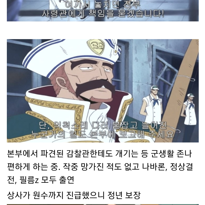 원피스)중장들로 알아보는 라인의 중요성.jpg | 인스티즈