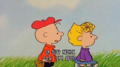 위로가 되는 글과 짤 모음 | 인스티즈