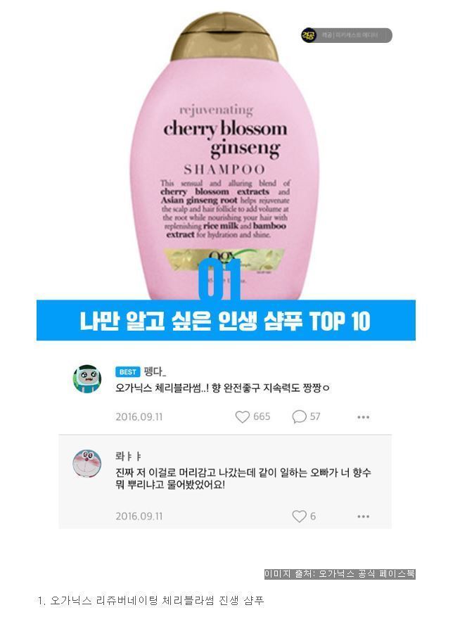피키피플들이 추천하는 인생샴푸 TOP10 | 인스티즈