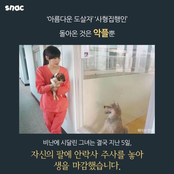 자기 팔에 안락사 주사를 놓은 수의사의 고백 | 인스티즈