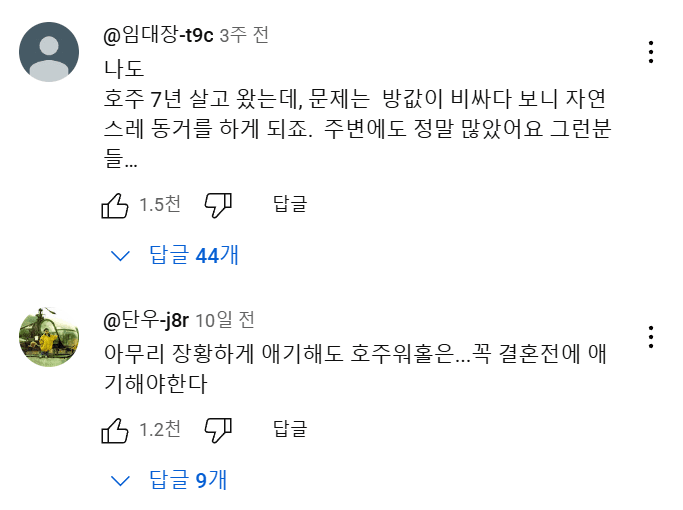 호주 워홀.....유튜브 댓글 대참사 | 인스티즈