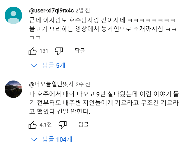 호주 워홀.....유튜브 댓글 대참사 | 인스티즈