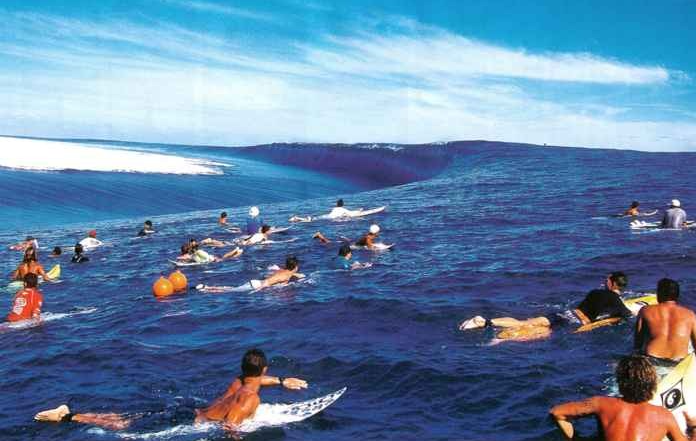 심해공포 관련사진 | 인스티즈