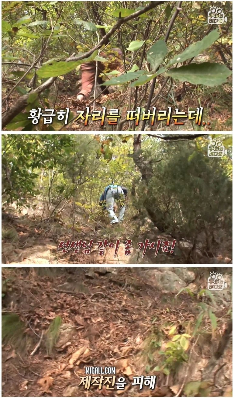 실종된지 50년 만에 발견된 할아버지 | 인스티즈