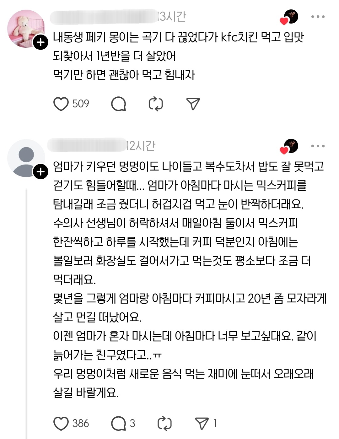 어제 처음으로 강아지에게 햄버거를 사줬다 | 인스티즈