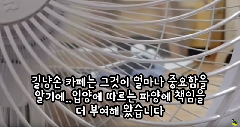입양 9년만에 파양되어 돌아온 고양이 '둥이' | 인스티즈