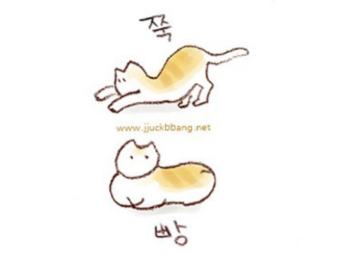 국내 애니메이션 신비아파트 트레이싱 논란 | 인스티즈