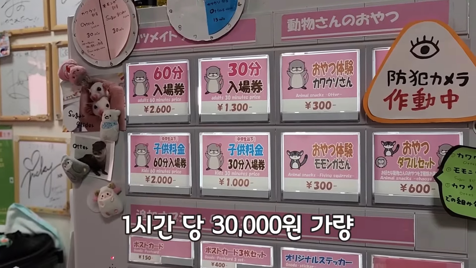 지옥이 다름없는 충격적인 일본 수달 카페.. | 인스티즈
