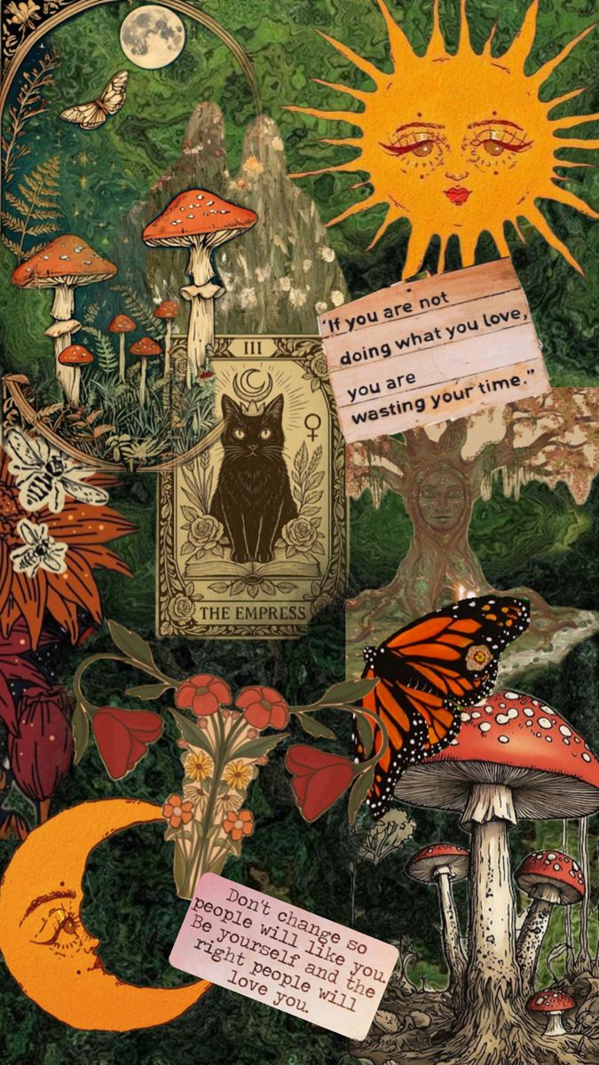 서서히 뜬다는 윔지코어(whimsycore)에 대해 알아보자 | 인스티즈