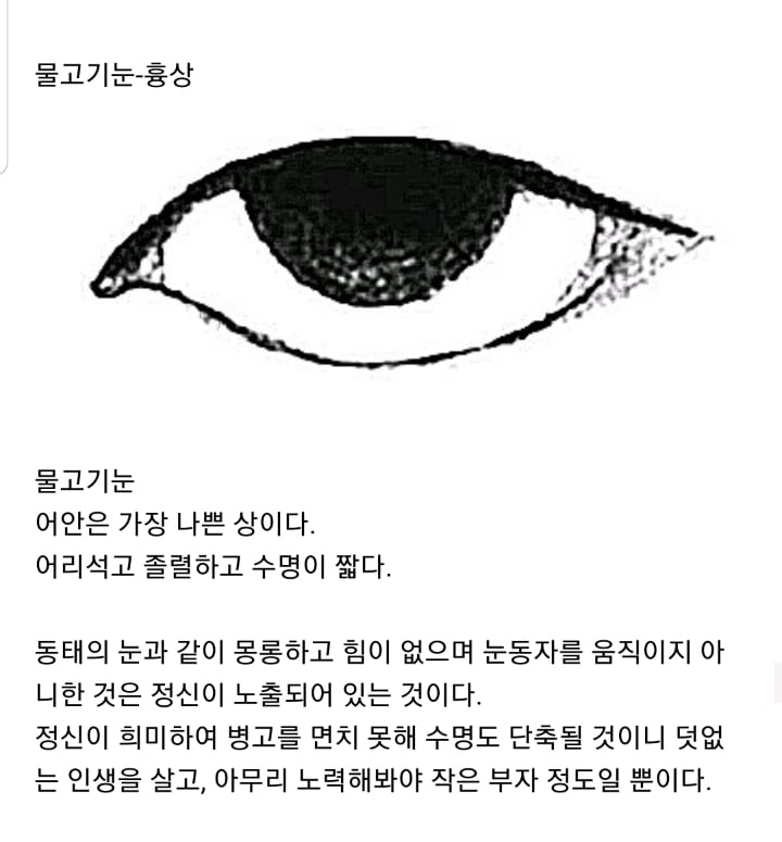 살면서 절대 피해야 할 관상 사진주의 | 인스티즈