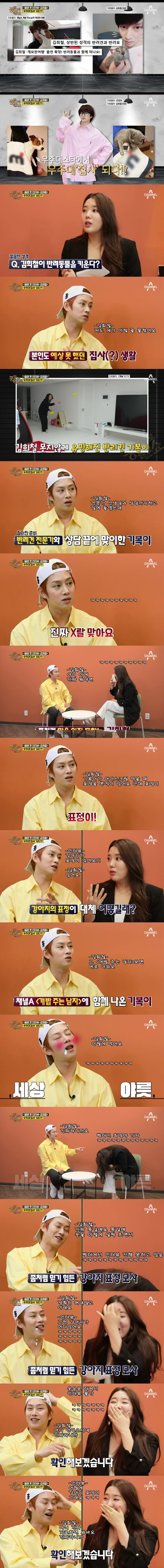 김희철이 사람들한테 인기가 많은 이유 .JPG | 인스티즈