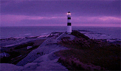 영화 파도가 지나간 자리 : The light between oceans (2016).gif | 인스티즈