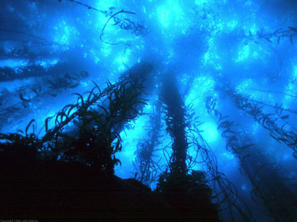 심해공포 관련사진 | 인스티즈