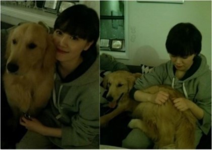 대형견을 키우는 연예인들 | 인스티즈