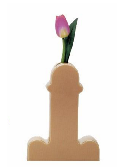 남자의 발기에 관한 신기한 사실들 | 인스티즈