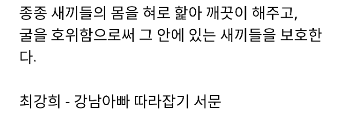남자는 다 늑대야가 늑대한테 모욕인 이유 | 인스티즈