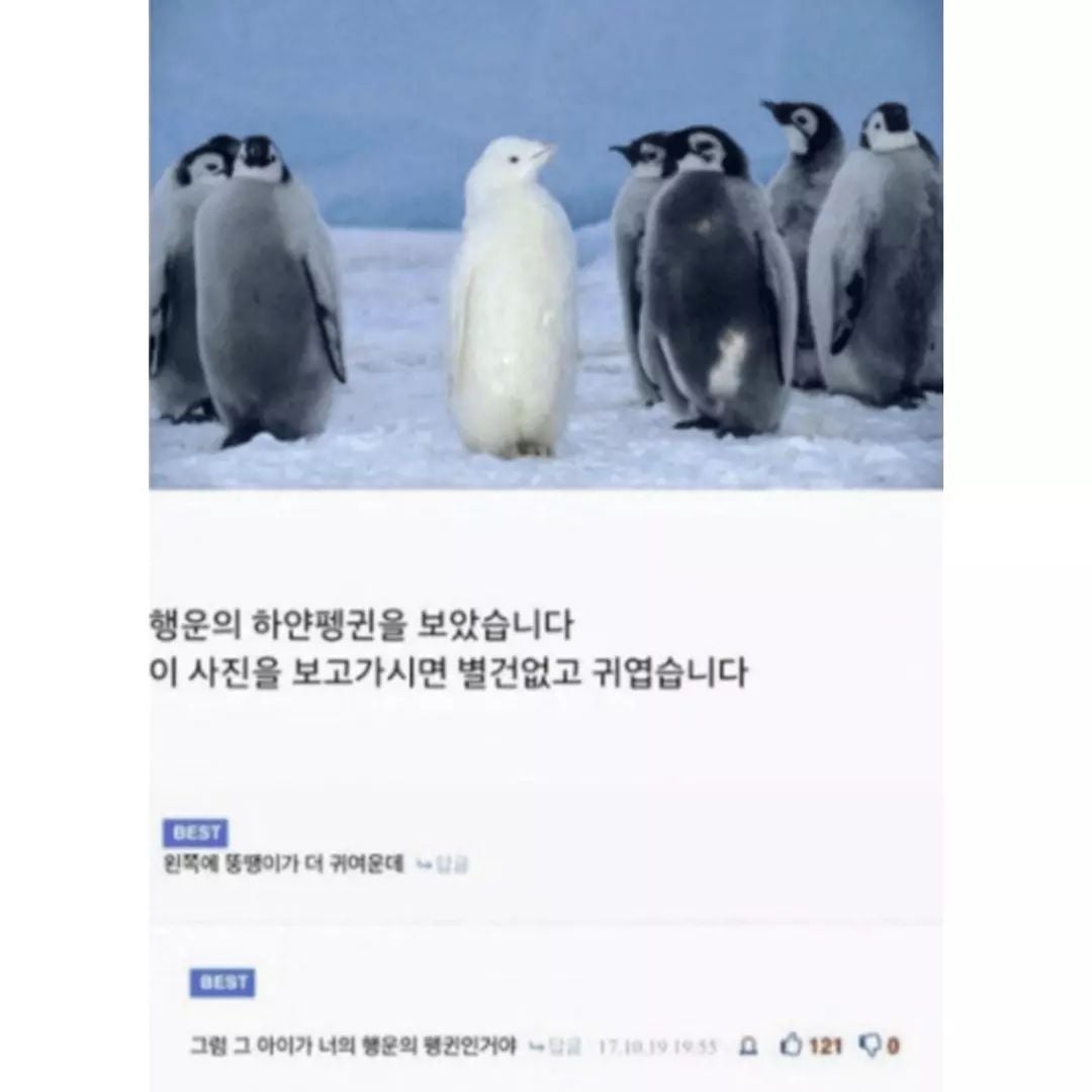 요즘 희귀해진 재능, 잘 배운 다정함 | 인스티즈