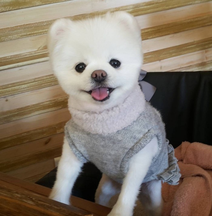 호불호 갈리는 계란케찹밥 | 인스티즈